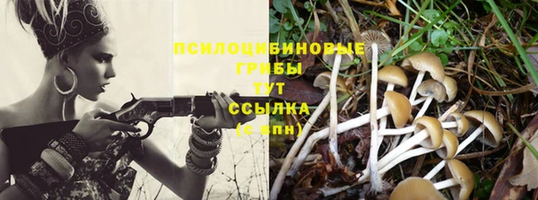 спайс Липки