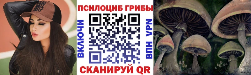 Псилоцибиновые грибы Magic Shrooms  KRAKEN рабочий сайт  Мураши  дарнет шоп 